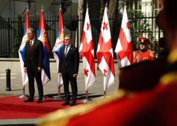 Foto: facebook.com/buducnostsrbijeavucic