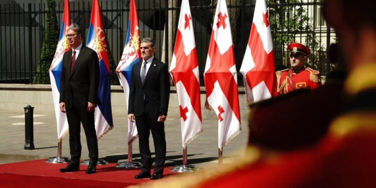 Foto: facebook.com/buducnostsrbijeavucic