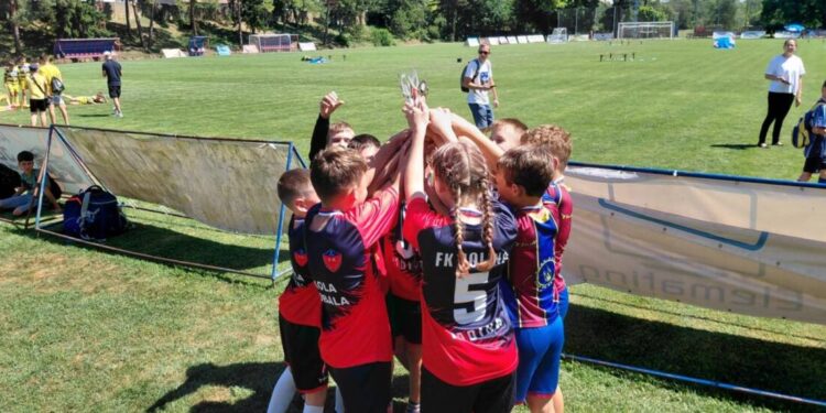 Padinská generácia 2014 so strieborným pohárom (foto: z archívu FK Dolina Padina)