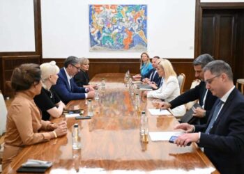Foto: FB/buducnostsrbijeavucic
