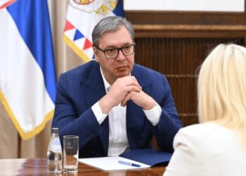 Foto: facebook.com/buducnostsrbijeavucic