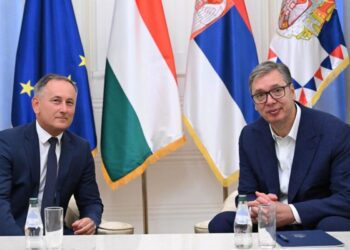 Foto: FB/buducnostsrbijeavucic