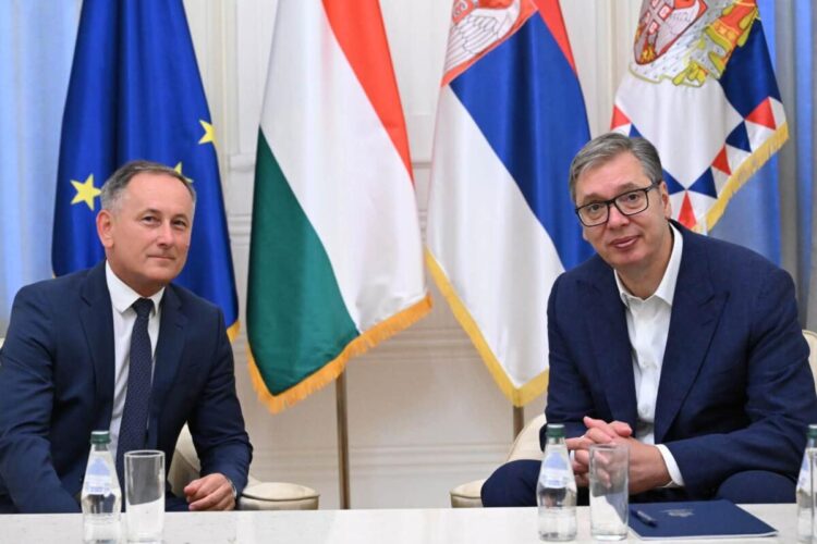 Foto: FB/buducnostsrbijeavucic