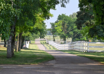 Foto: vojvodina.gov.rs