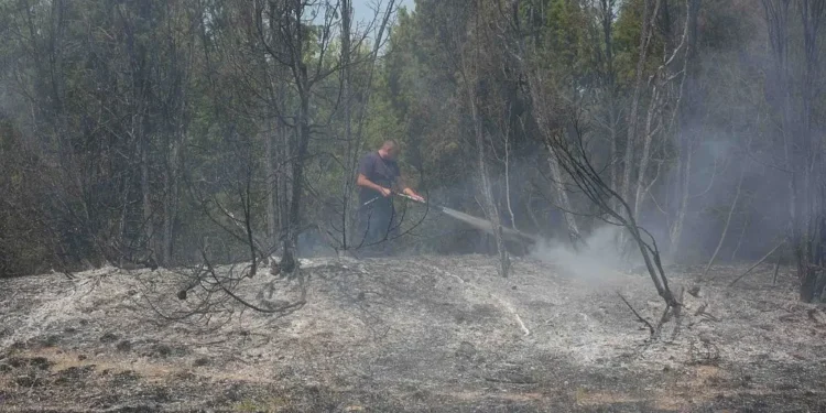 Foto: srbija.gov.rs