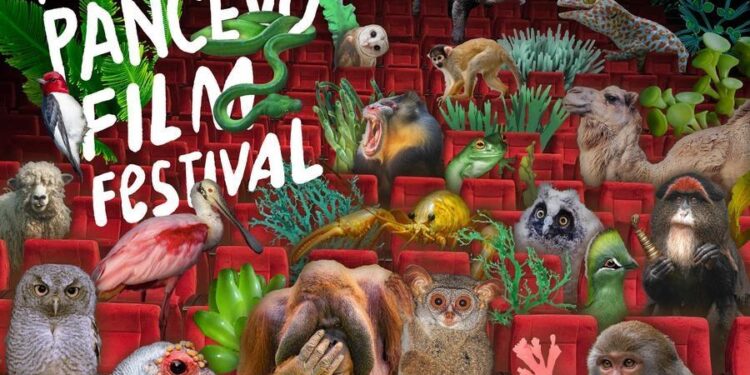 Plagát festivalu (Foto: promo)