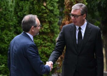 Foto: FB/buducnostsrbijeavucic