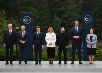 Foto: facebook.com/buducnostsrbijeavucic