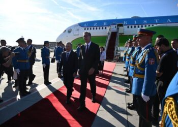 Foto: facebook.com/buducnostsrbijeavucic