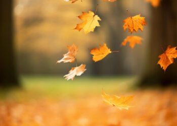 Foto: Freepik
