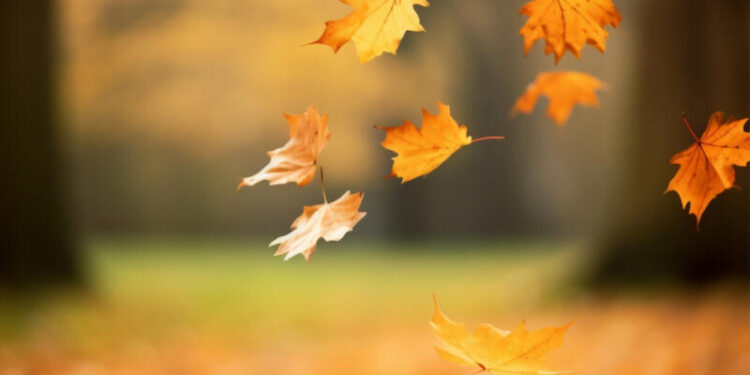 Foto: Freepik