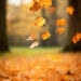 Foto: Freepik